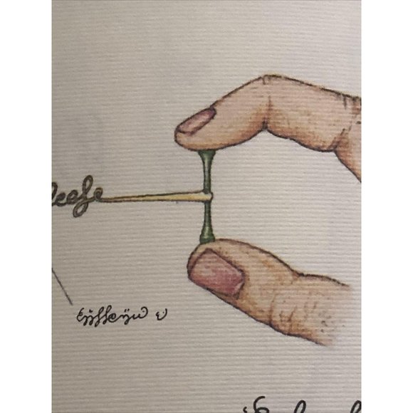 Luigi Serafini Codex Seraphinianus Print 184A - Picture 3 of 6